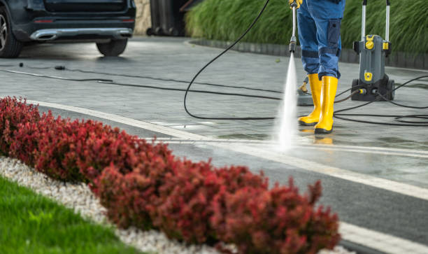 Best Pressure Washing Services Near Me  in Woodburn, OR